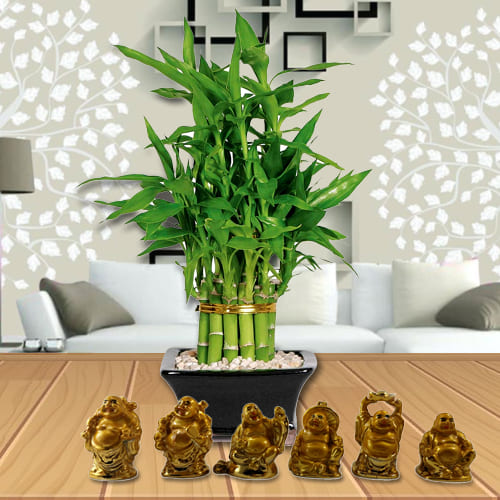 Send Exquisite 2 Tier Bamboo Plant with Set of Laughing